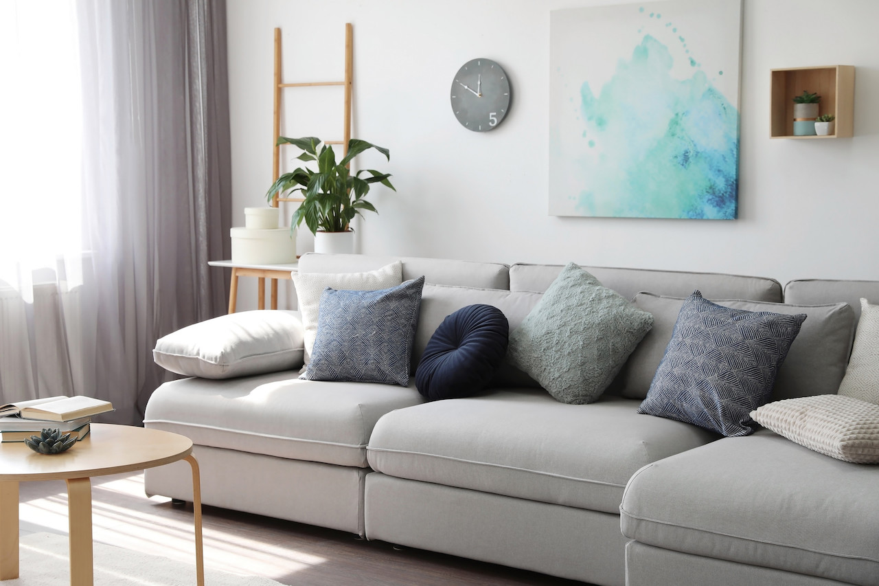 Elegant living room with comfortable sofa near window. Interior